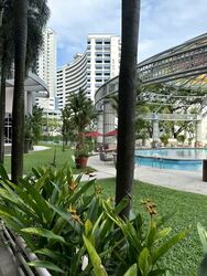 Oleander Towers (D12), Apartment #589300251